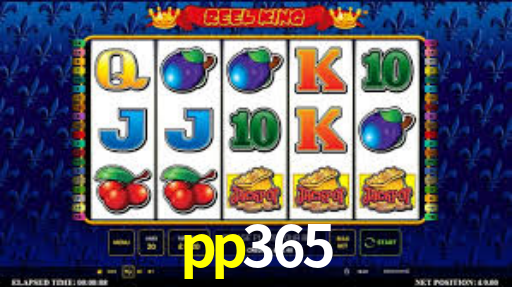 pp365.com